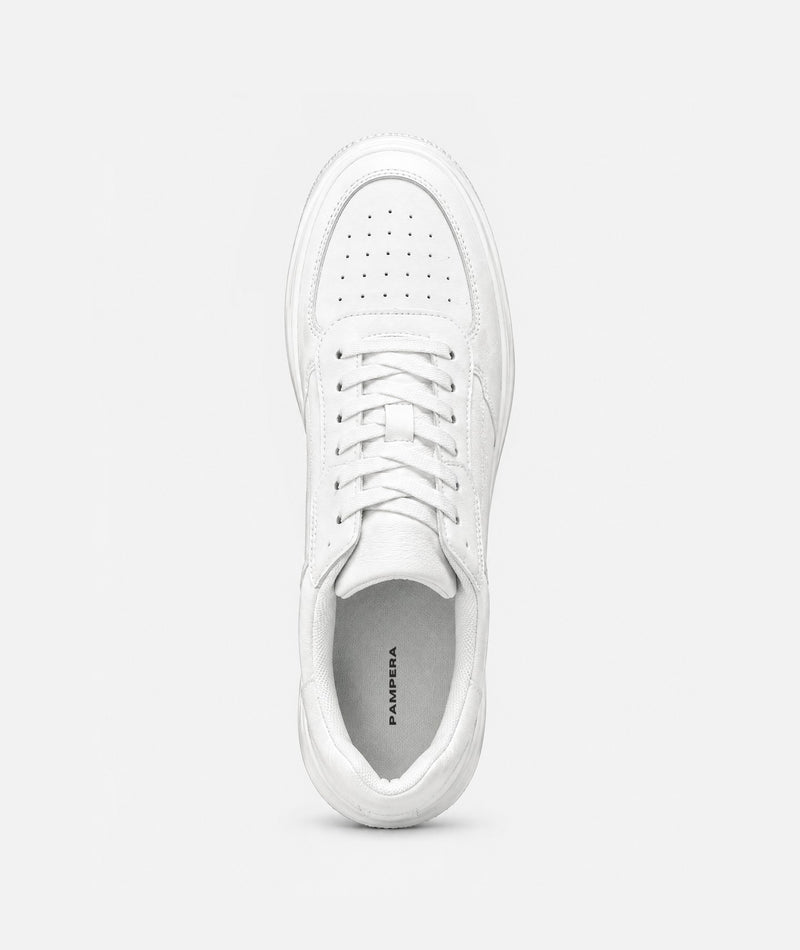 Polaris White™ (+8cm de Altura)